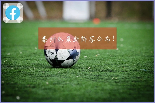 泰州队最新阵容公布！