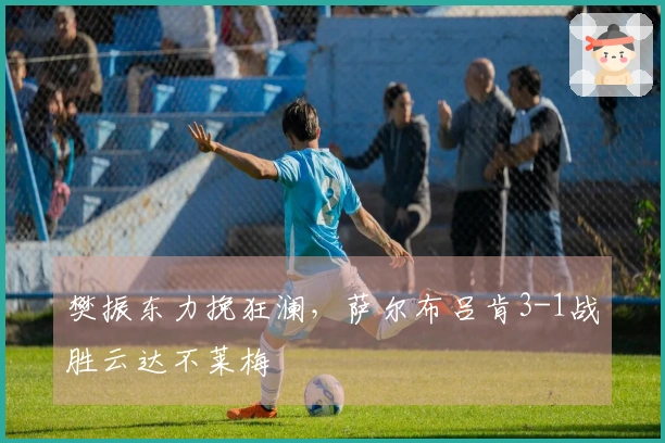 樊振东力挽狂澜，萨尔布吕肯3-1战胜云达不莱梅