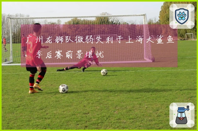 广州龙狮队微弱失利于上海大鲨鱼，季后赛前景堪忧
