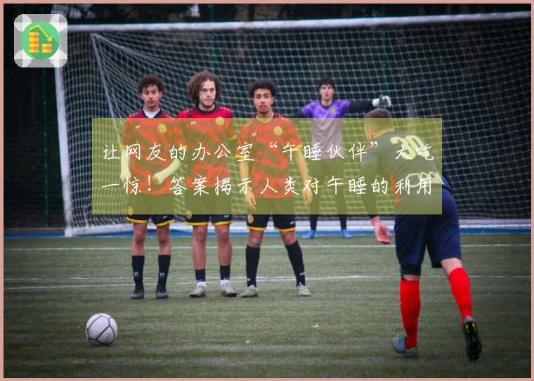 让网友的办公室“午睡伙伴”大吃一惊！答案揭示人类对午睡的利用率竟不足1%